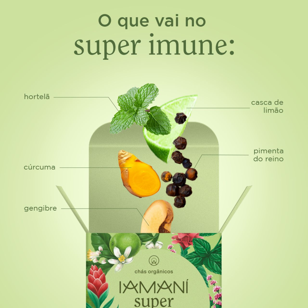 Chá Orgânico Super Imune / Fortalece! - 15 sachês