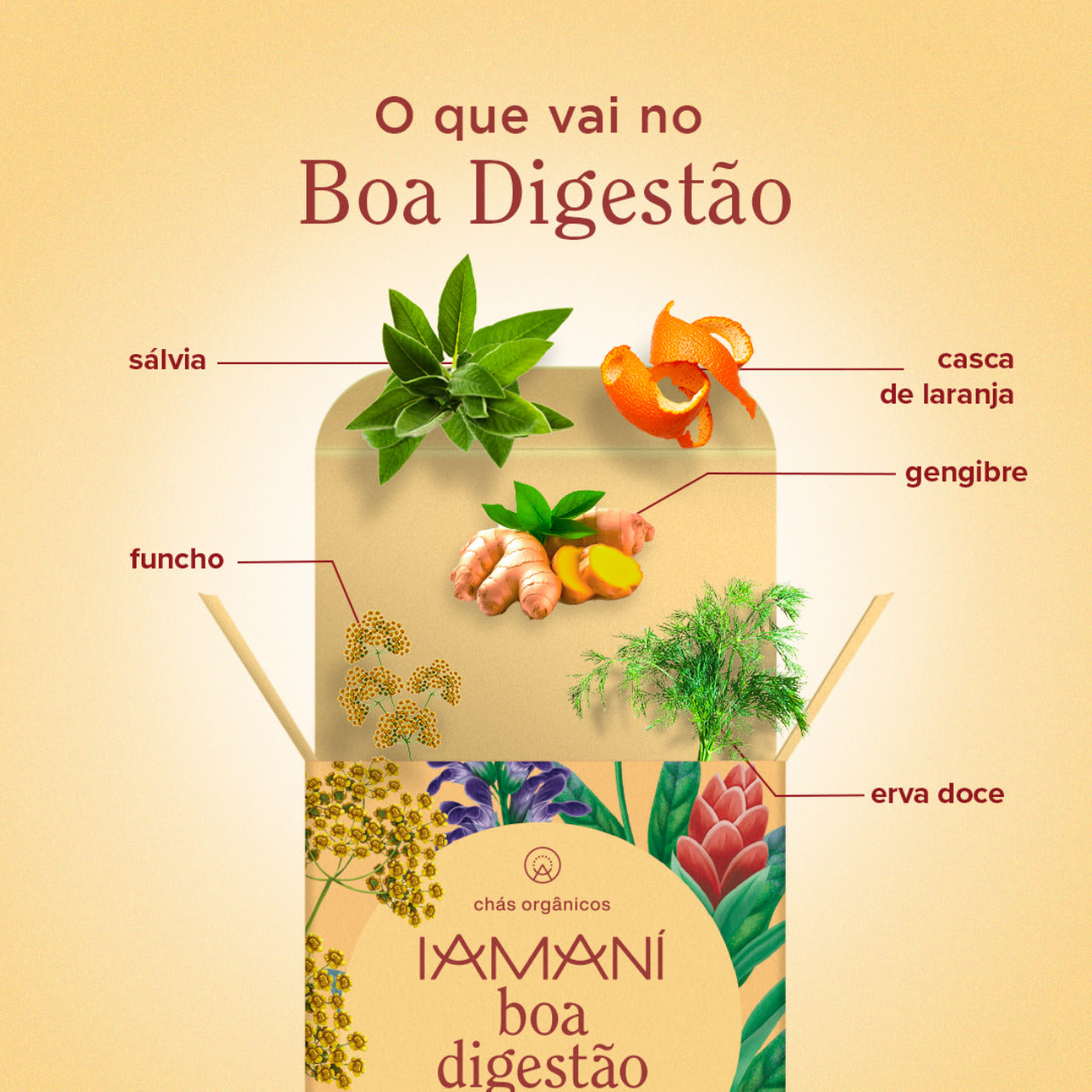 Chá Orgânico Boa Digestão / Leveza! - 15 sachês