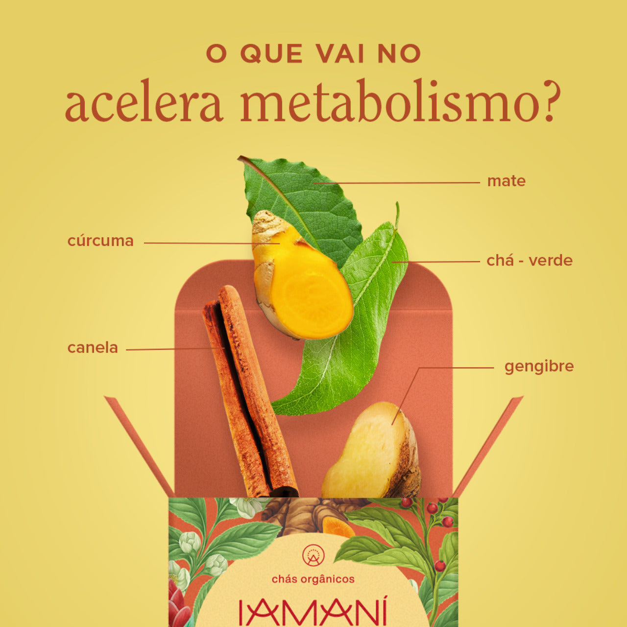 Chá Orgânico Acelera Metabolismo - 15 sachês