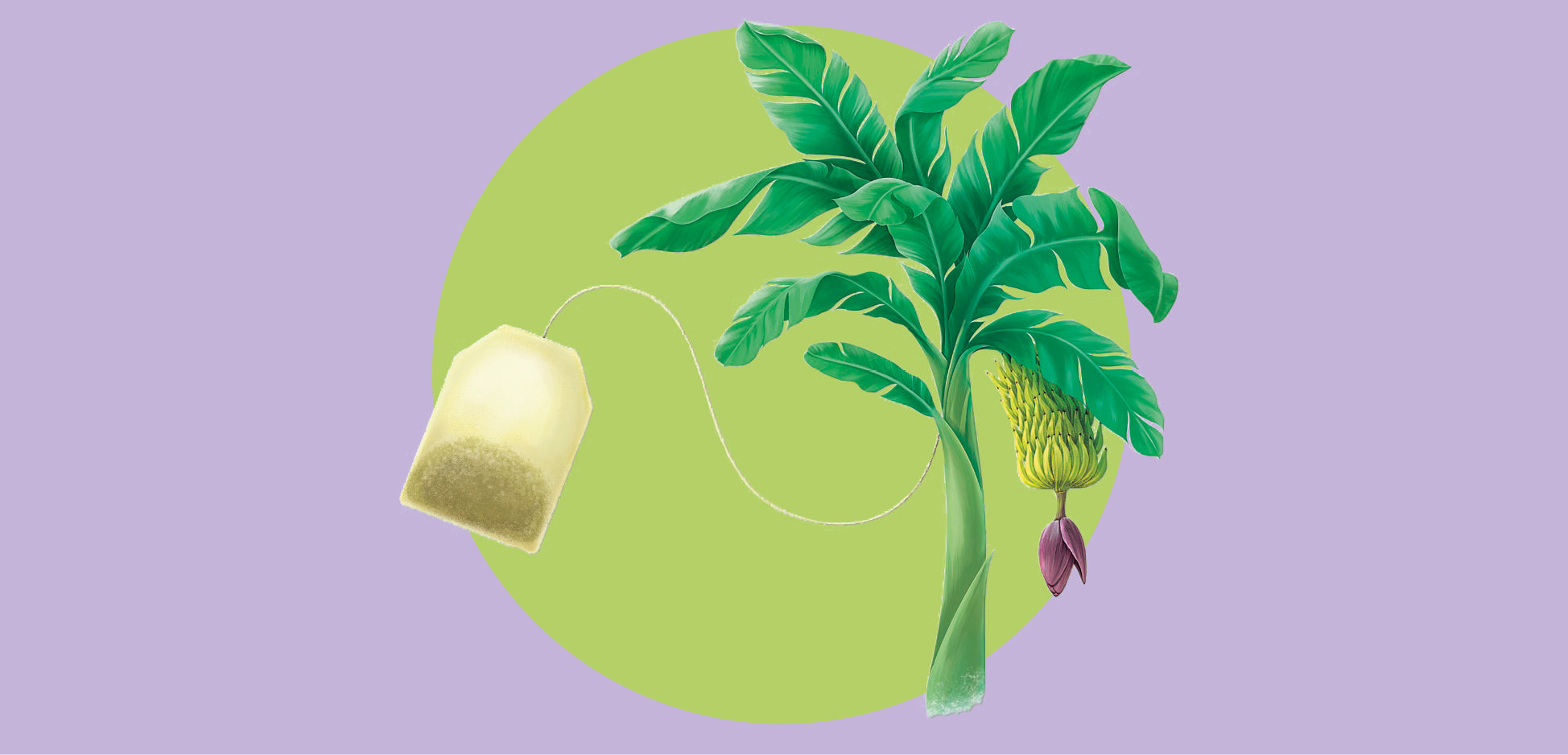 Sachê Orgânico e 100% Biodegradável: É Possível?!