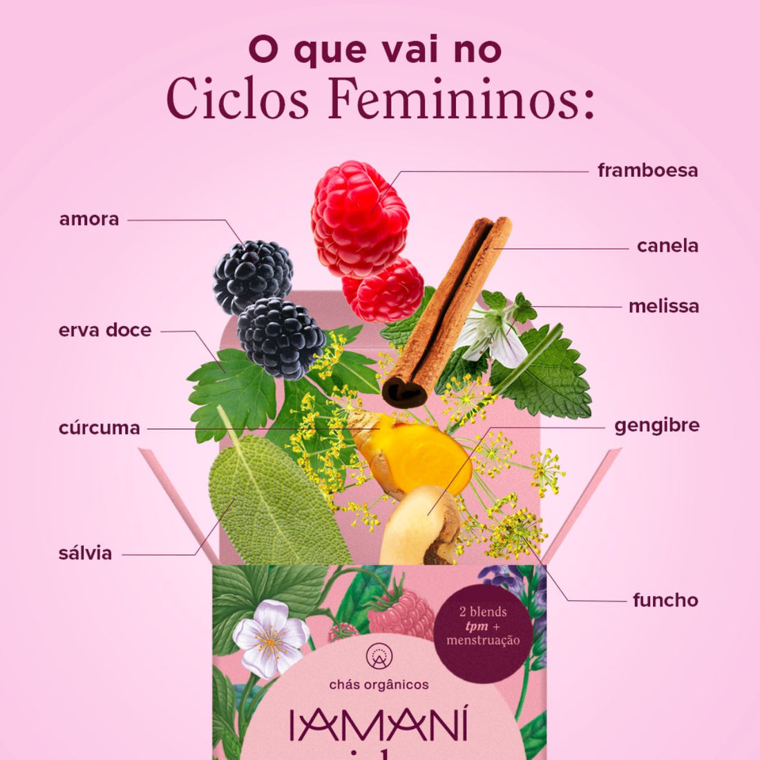 Chá Orgânico Ciclos Femininos (TPM + Menstruação - 20 sachês) – Iamaní ...