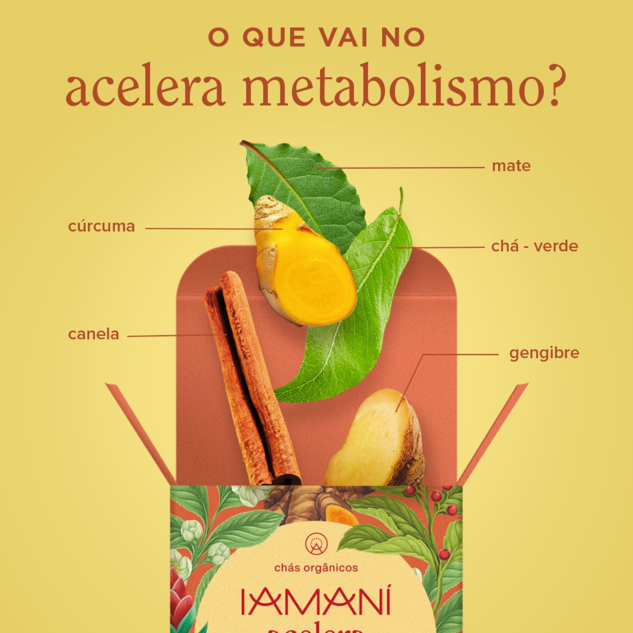 Chá Orgânico Acelera Metabolismo - 15 sachês