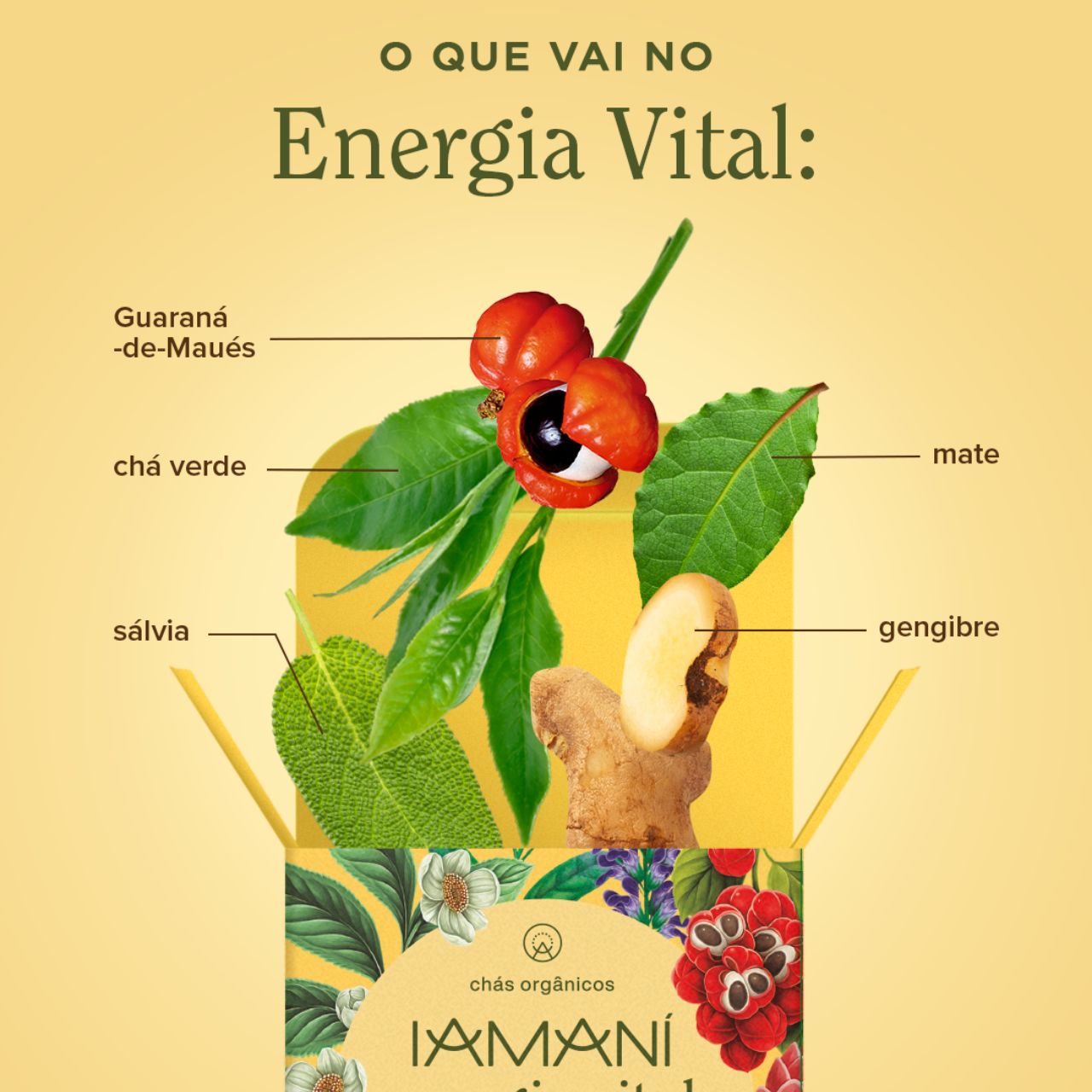 Chá Orgânico Energia Vital - 15 sachês