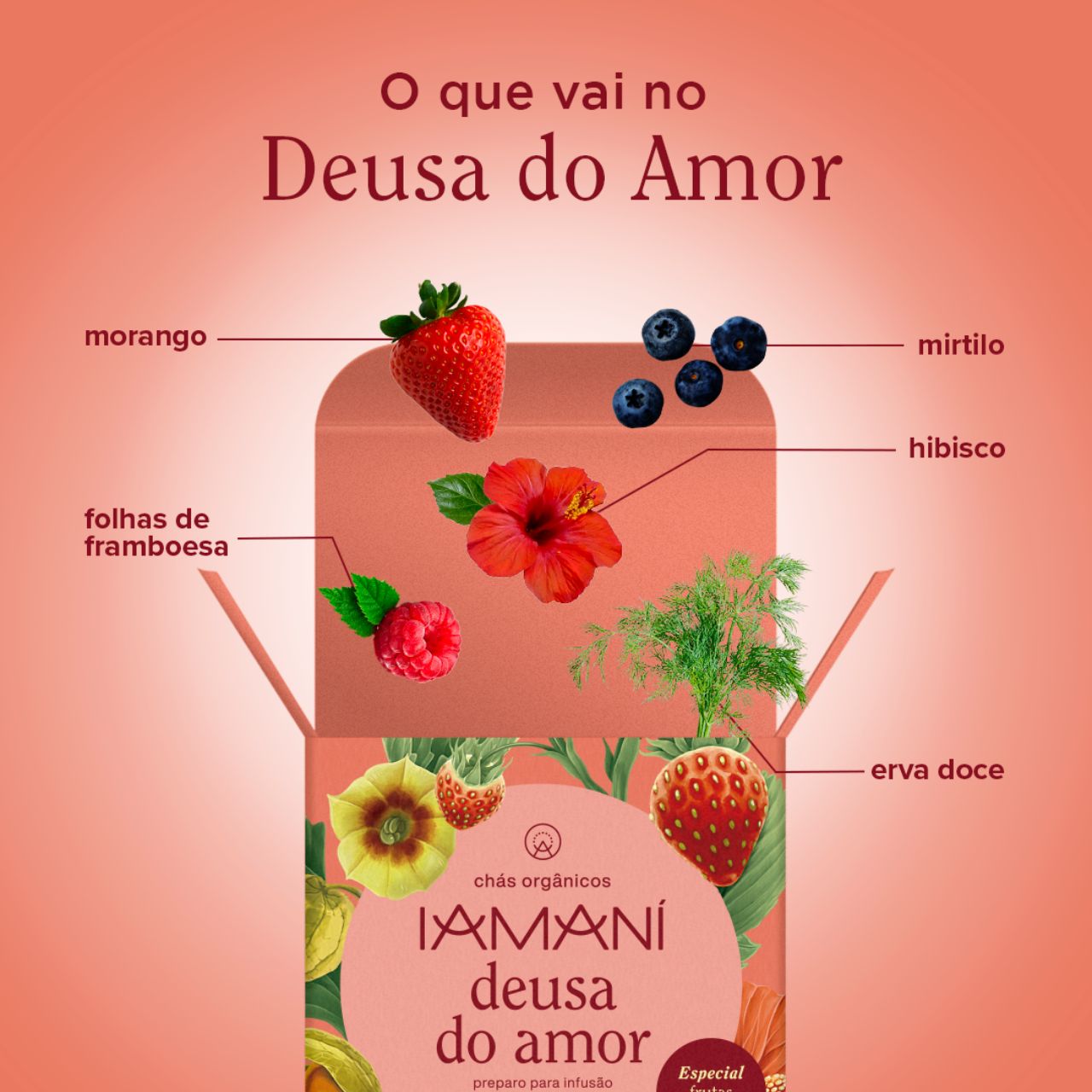 Chá Orgânico Deusa do Amor - Especial Frutas Vermelhas - 15 sachês