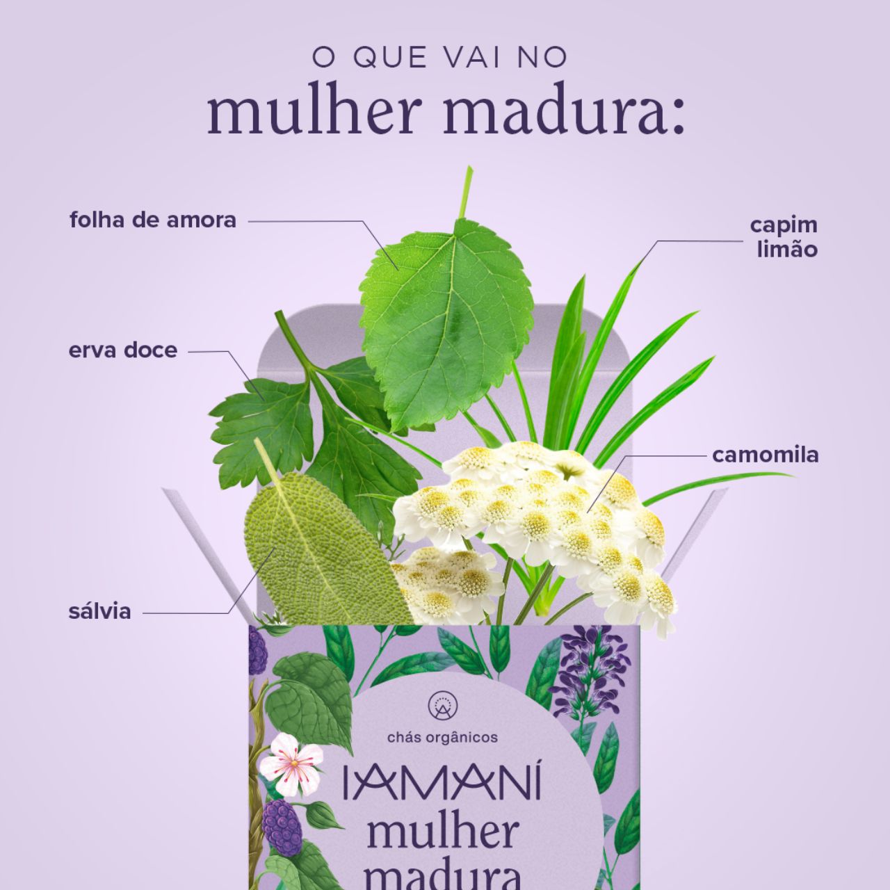 Chá Orgânico Mulher Madura  - 15 sachês