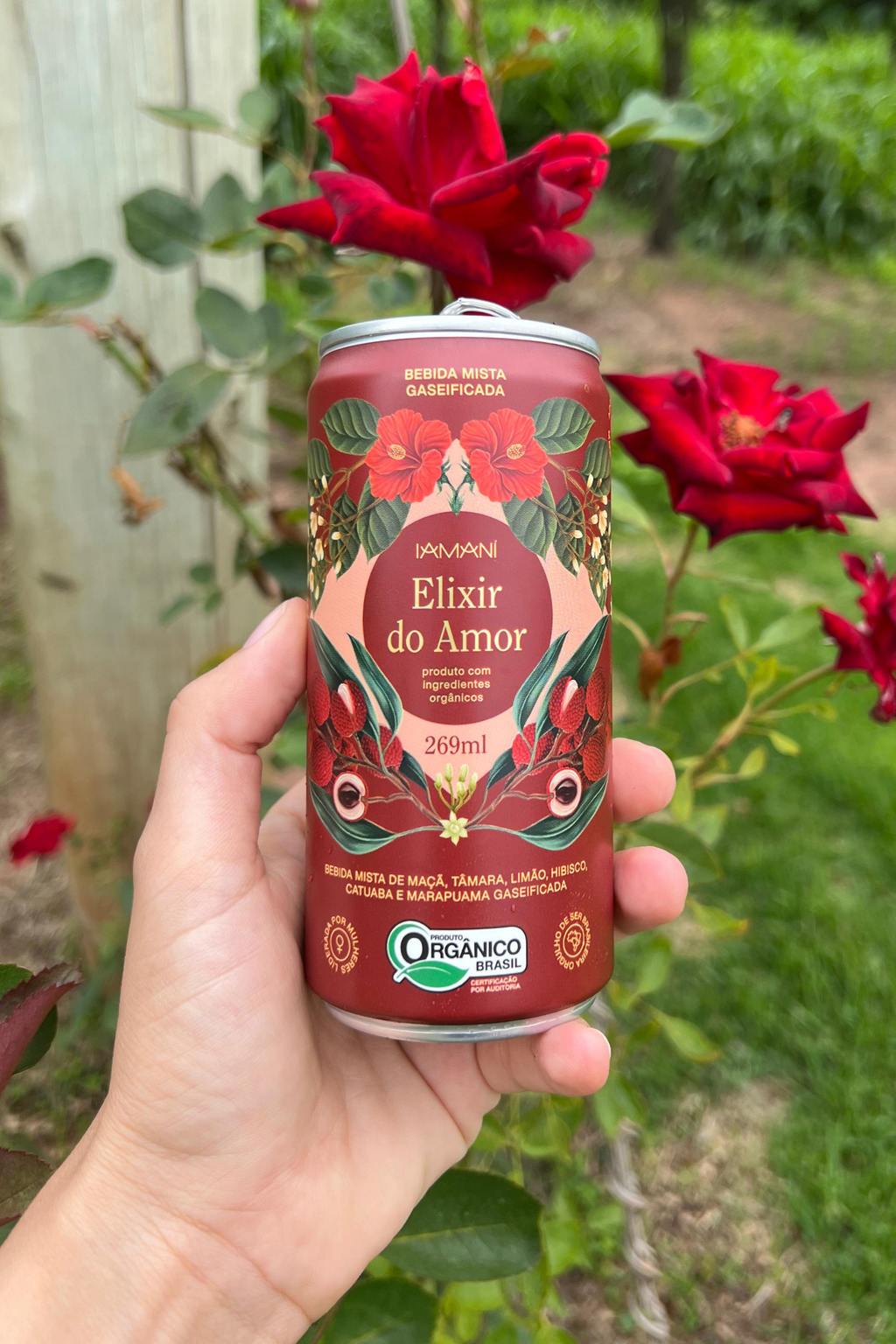 Chá Gelado Elixir do Amor 269 ml - PACK 6 Un.