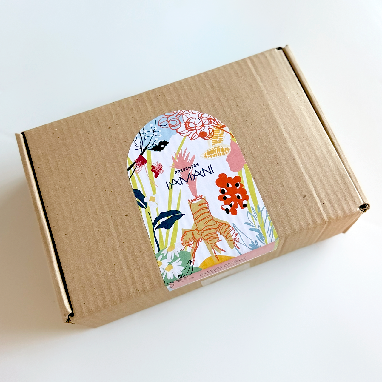 Kit Artistas Brasileiras