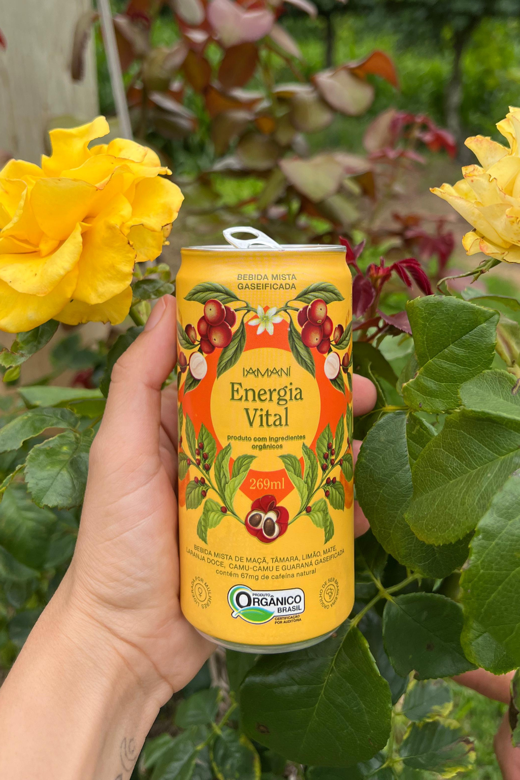 Chá Gelado Energia Vital 269 ml - PACK 6 Un.