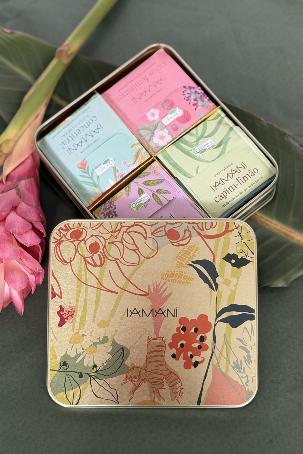 Latinha Artistas Brasileiras