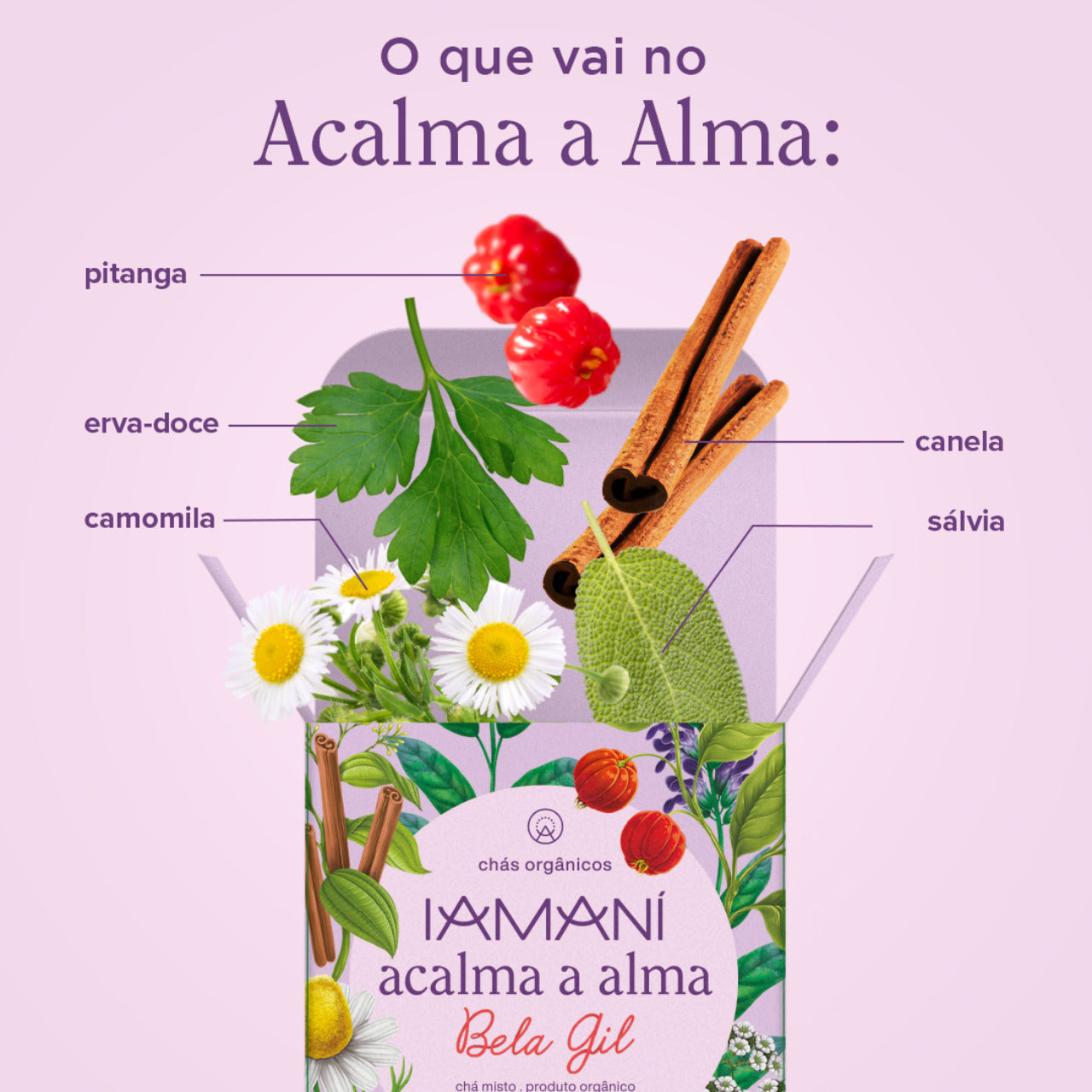 Chá Orgânico Acalma a Alma - 15 sachês