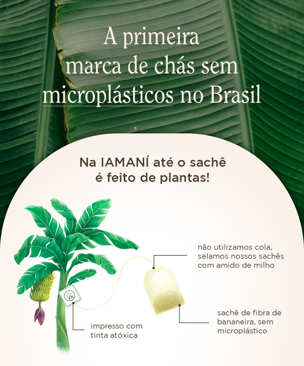 Chá Orgânico Camomila - 15 sachês