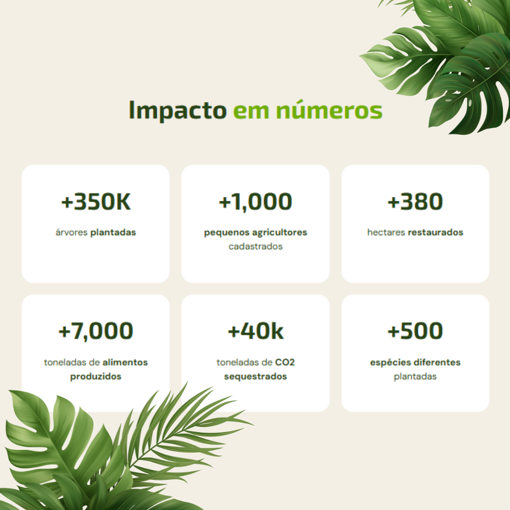 Apoie o plantio de árvores