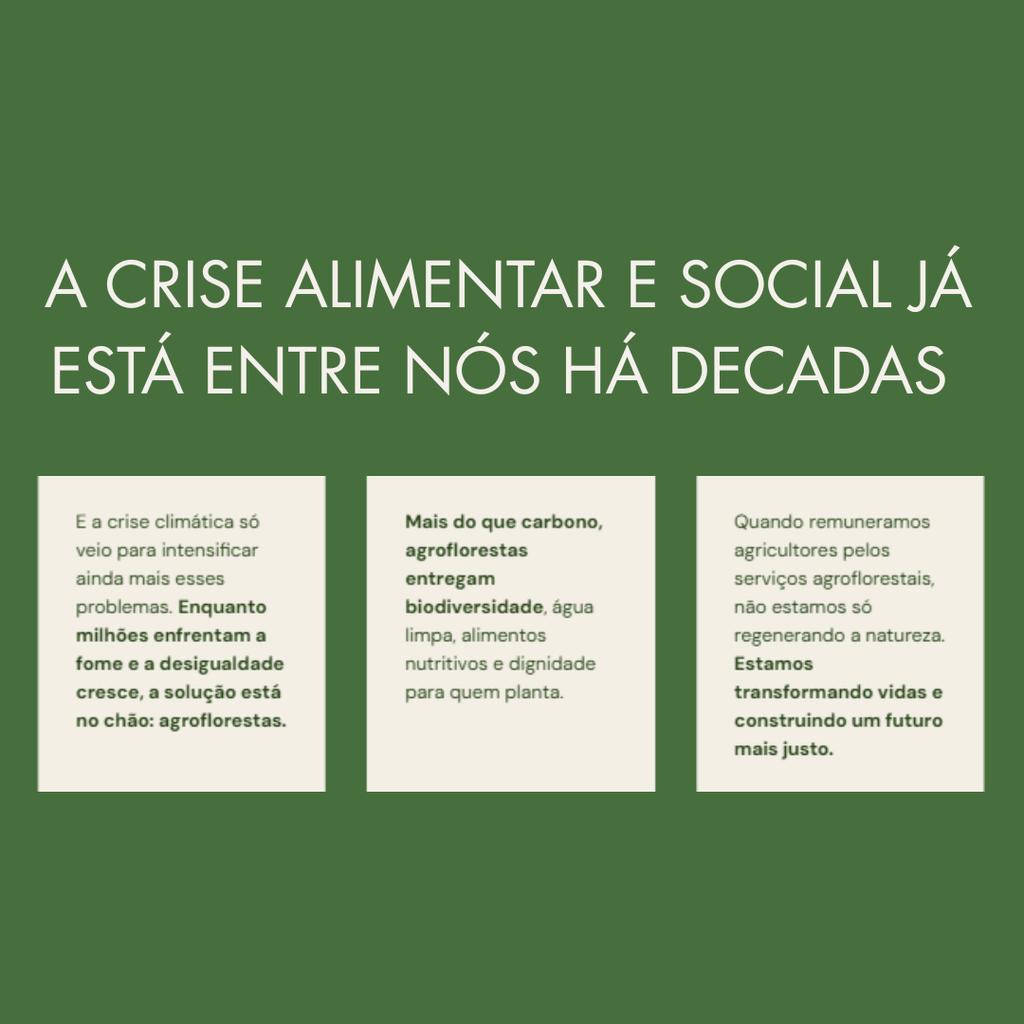 Apoie o plantio de árvores