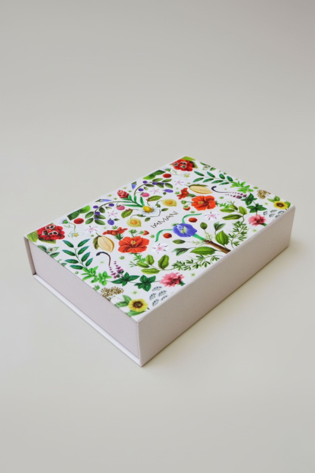 Mini Box Iamani