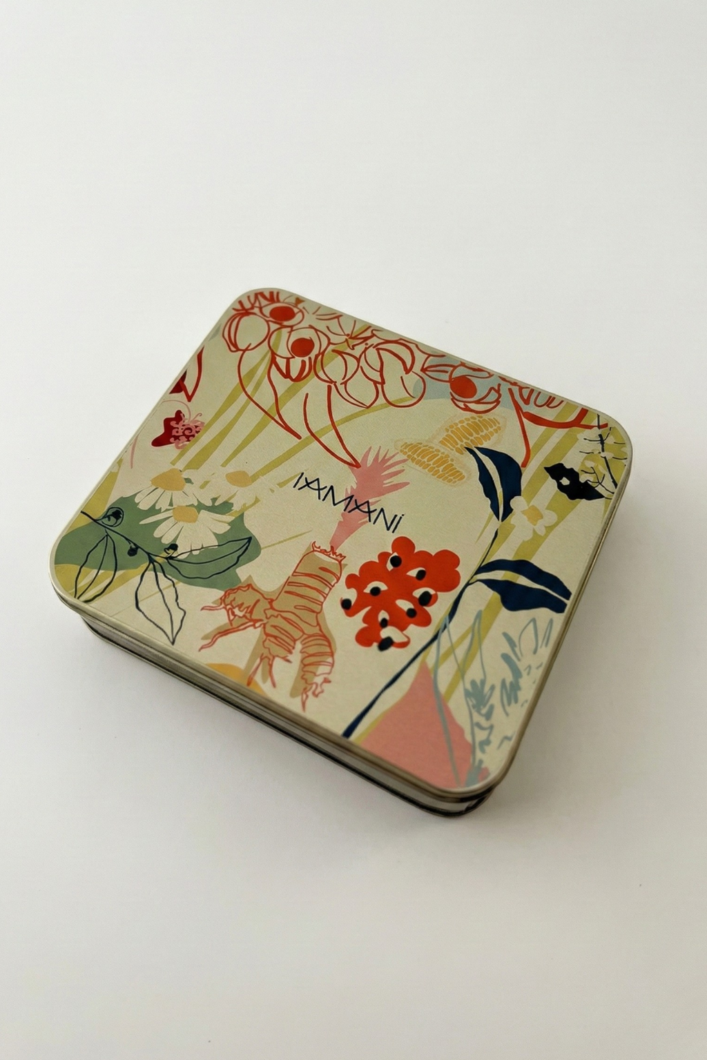 Latinha Artistas Brasileiras