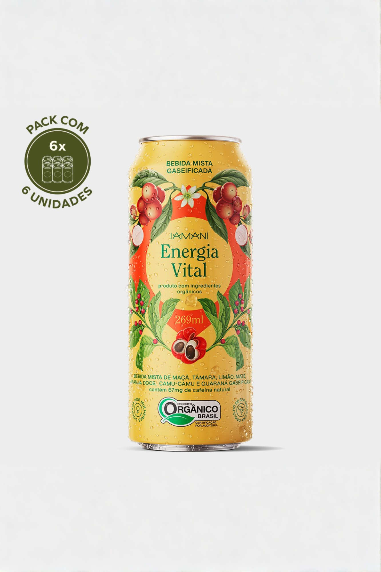Chá Gelado Energia Vital 269 ml - PACK 6 Un.
