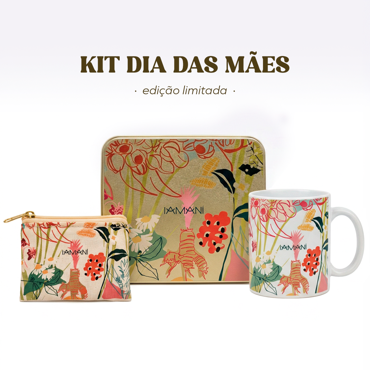 Kit Artistas Brasileiras