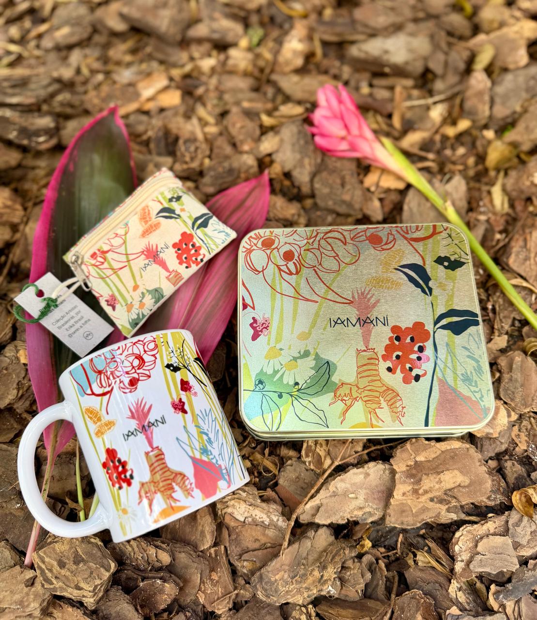 Kit Artistas Brasileiras