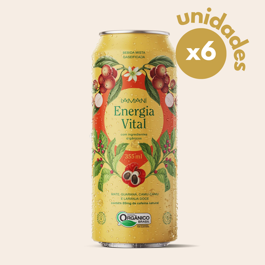 Chá Gaseificado Energia Vital PACK 6 Un.